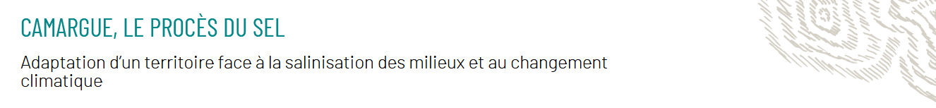 Bandeau procès du sel