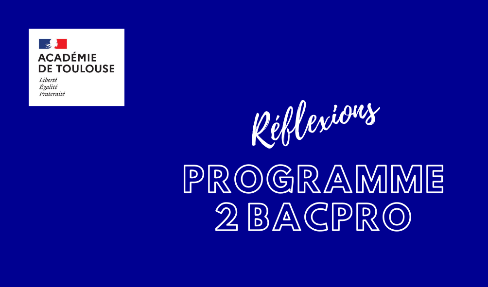 Réflexion programme 2BacPRo