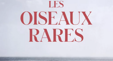 Bannière Les oiseaux rares, Hugo Paviot