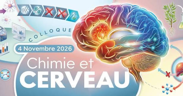 Chimie-et-cerveau