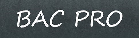 bac-pro