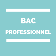 bac_pro