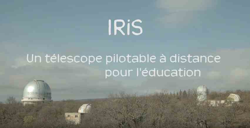 iris1.jpg