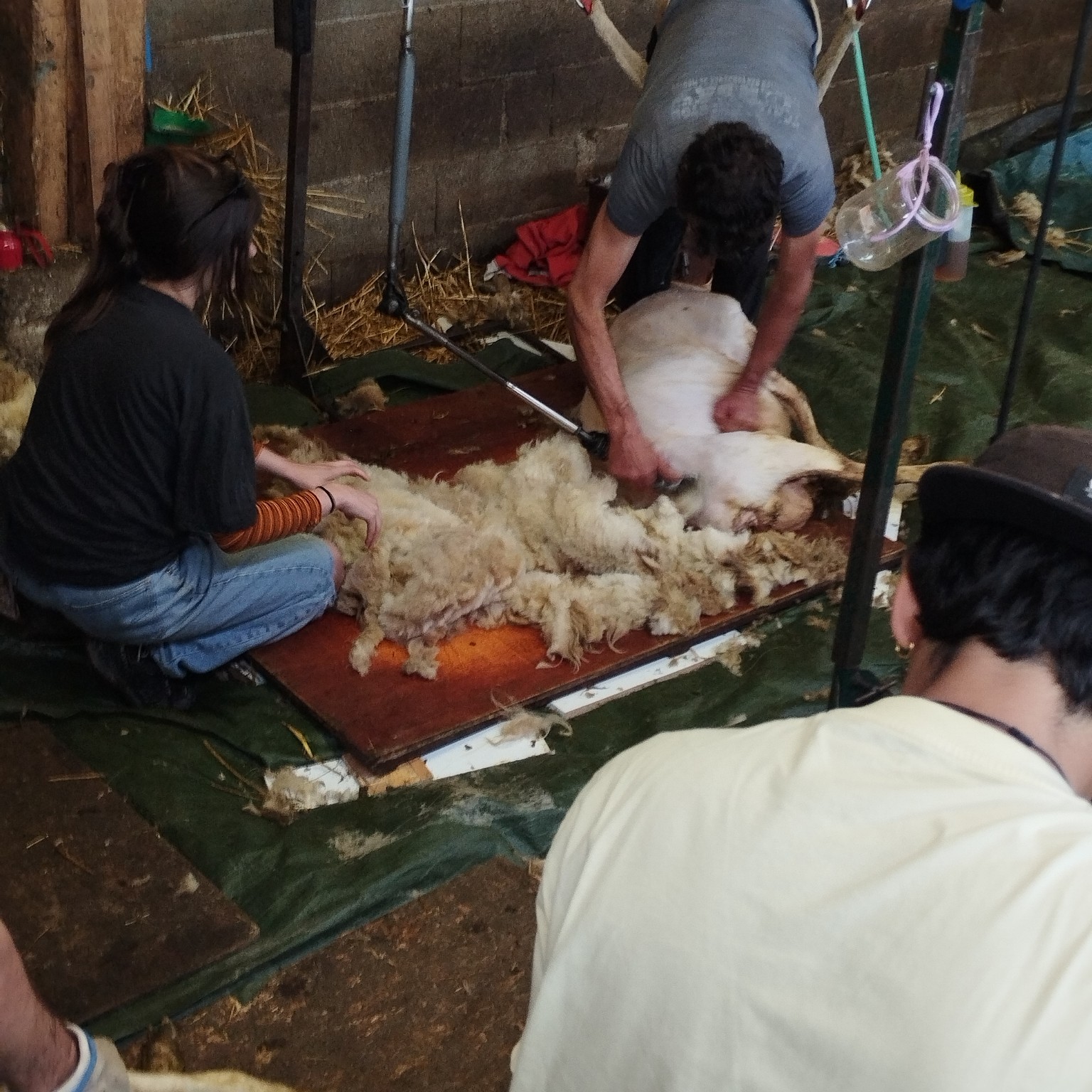 Ferme du Taychel