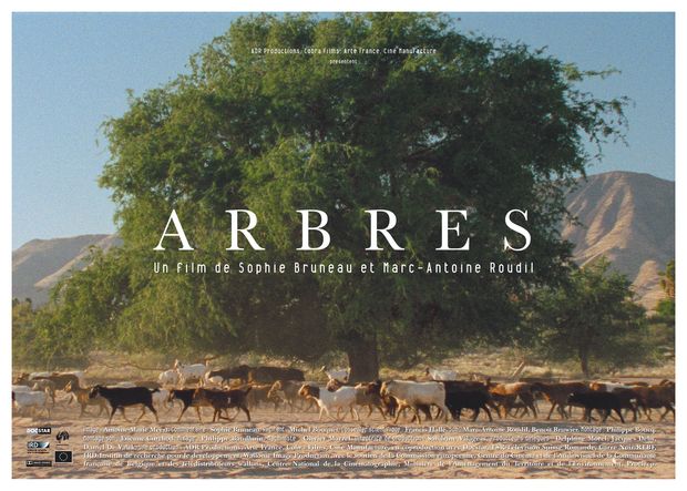 Affiche Arbres