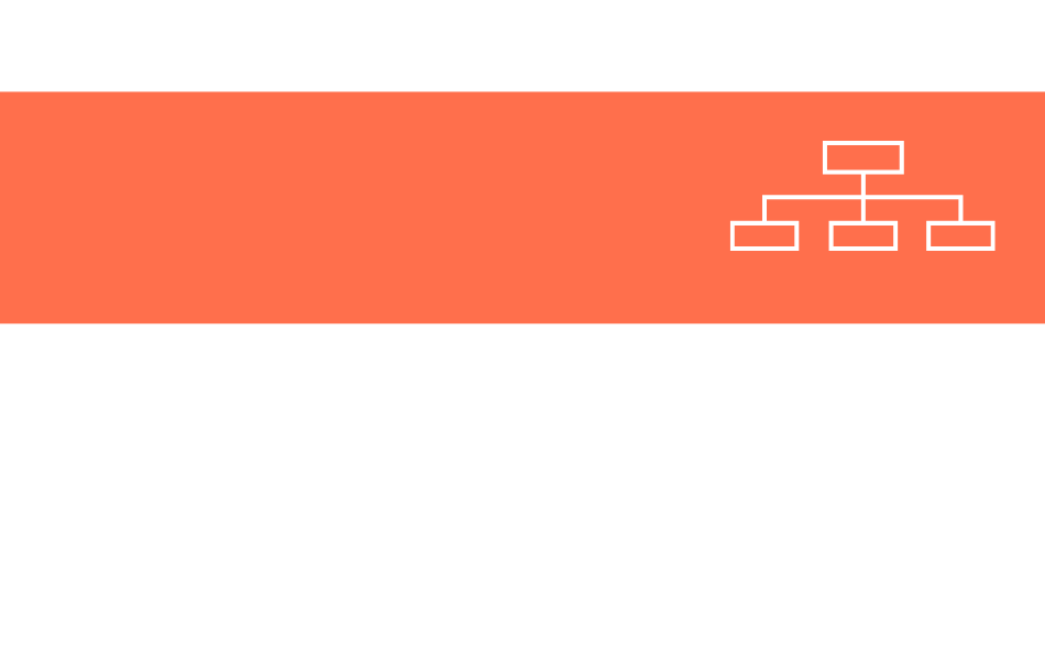 Organisation du SDEI 31