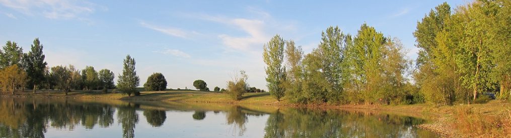 HG16 - circonscription de Tournefeuille