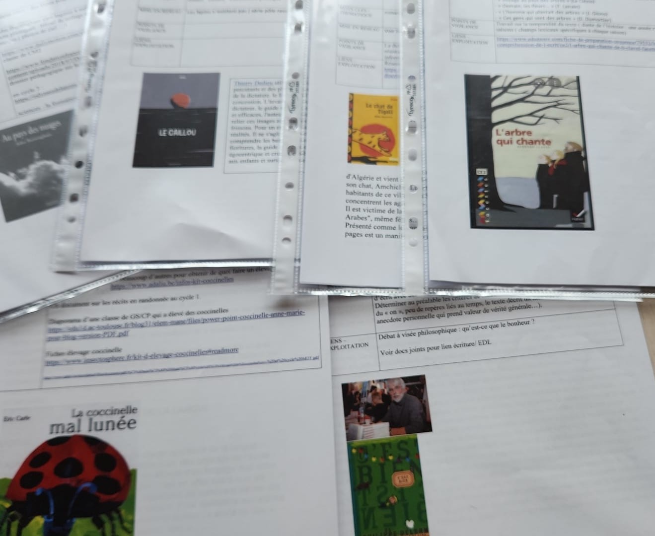 Exemples de fiches ressources