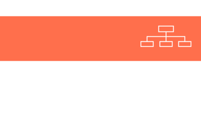 Organisation du SDEI 31