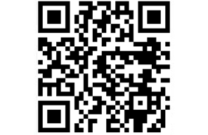 QR Gerslock #2