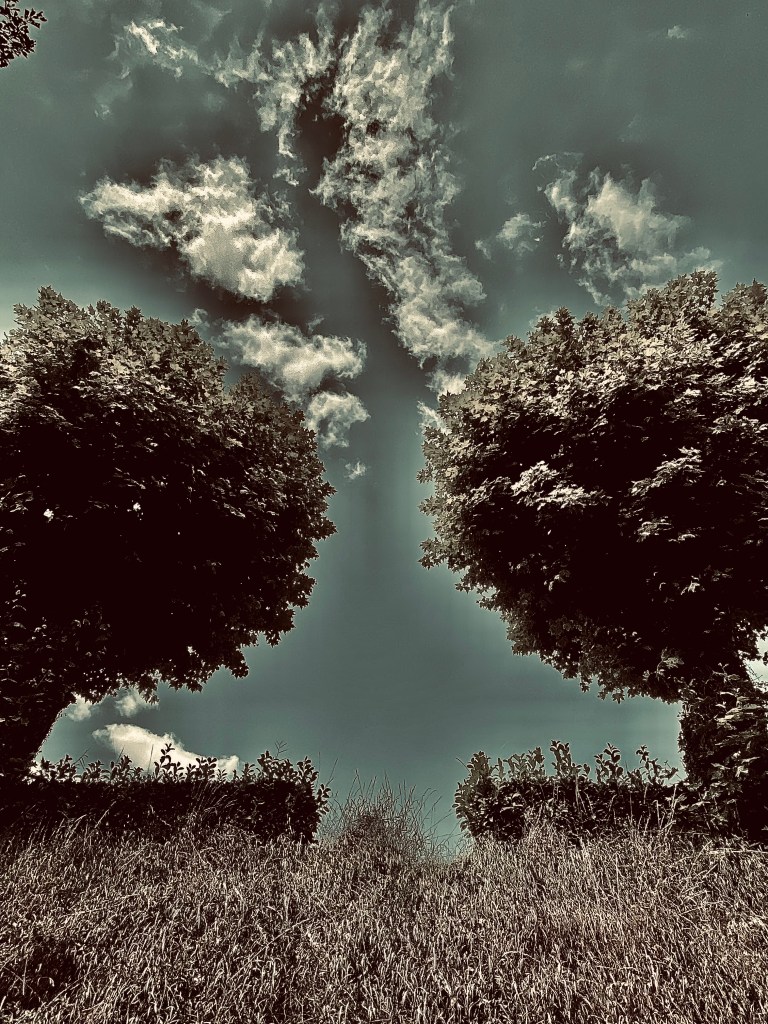 JC Perez Berben photographe