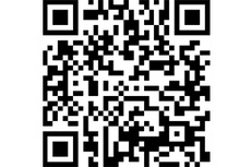 QR Code Gersfake 4