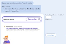activité Pix Junior