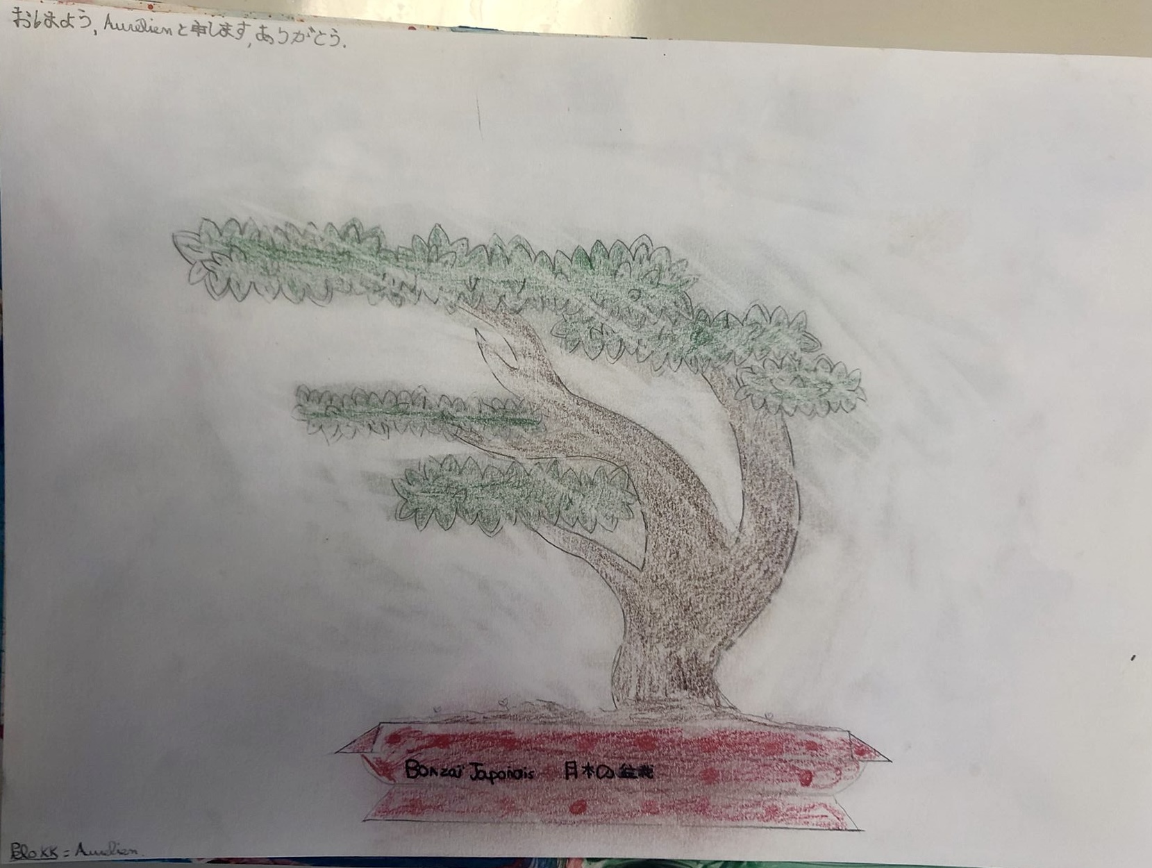 dessin bonsai 3