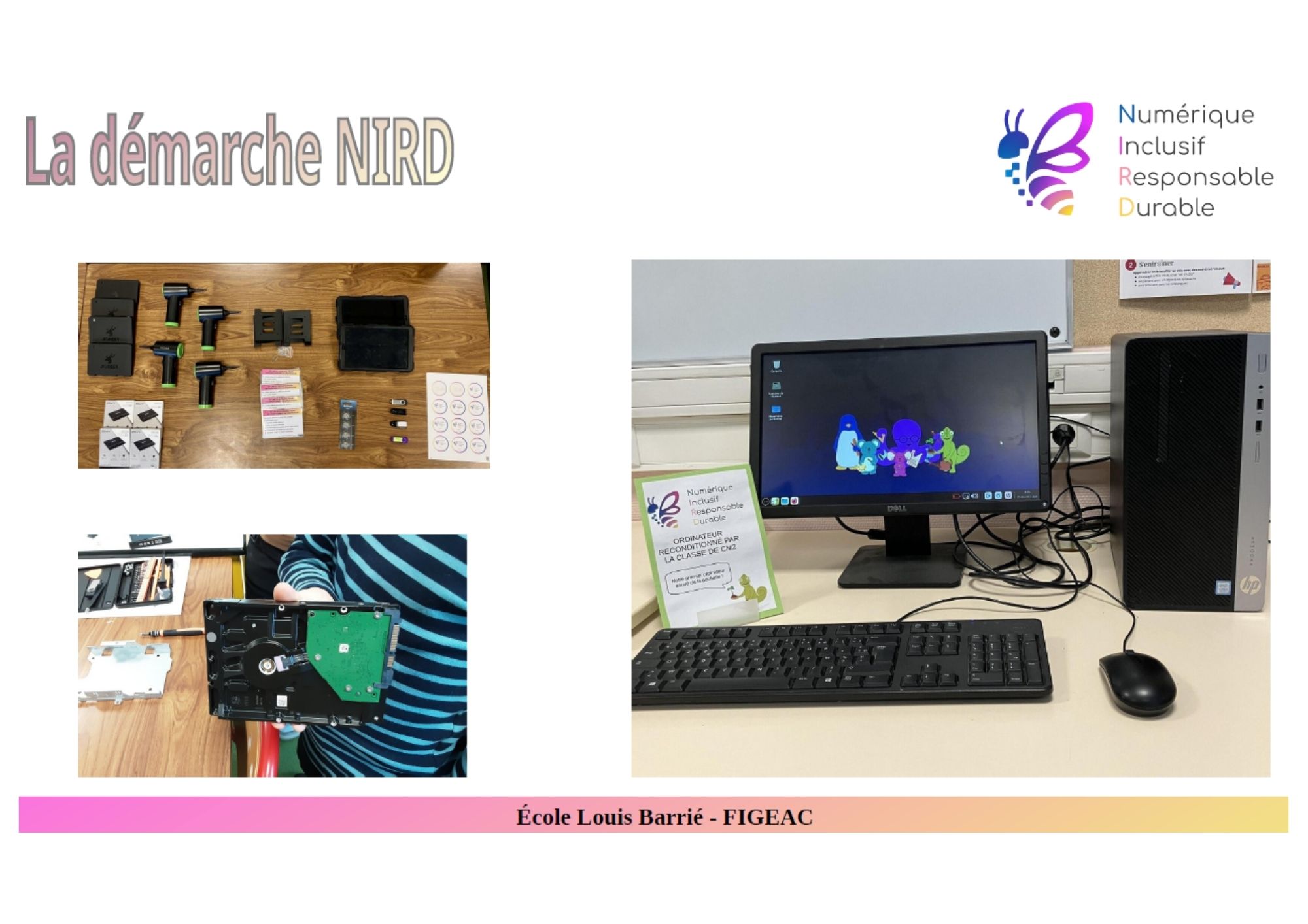 Nird