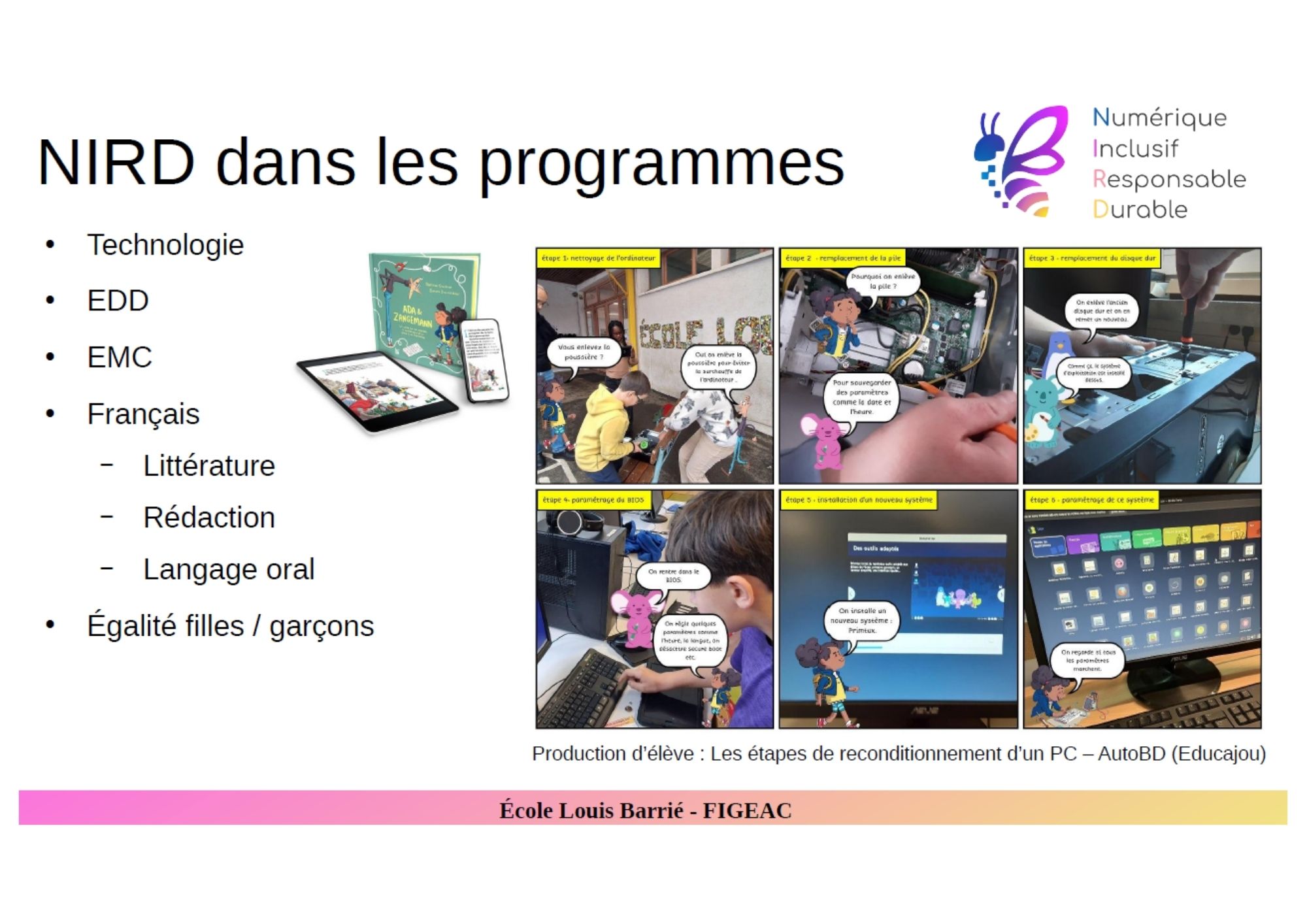 Nird programmes