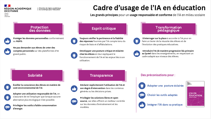 capture cadre usage ia infographie