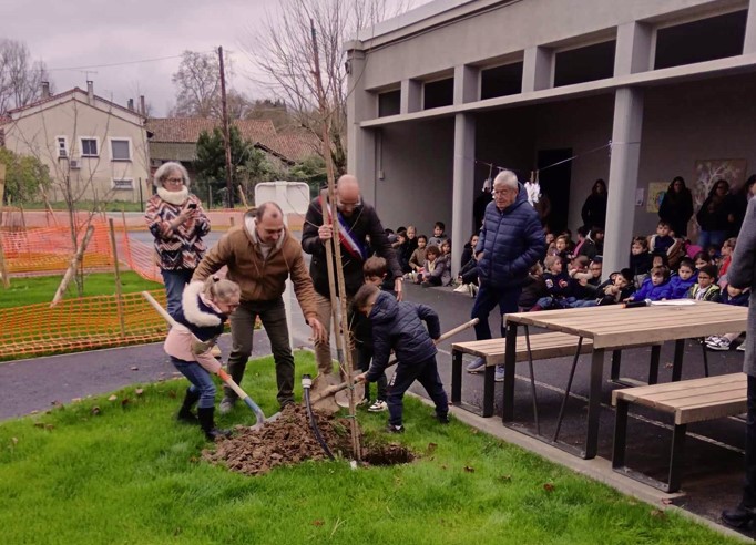 plantation de l'arbre par des élèves, Mr le Maire et Mr le directeur