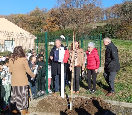 arbre de la laïcité