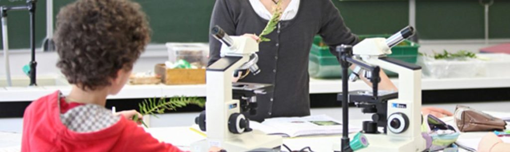 CSTI-dan-le-1er-degré