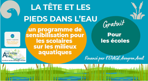 la-tête-et-les-pieds-dans-l'eau