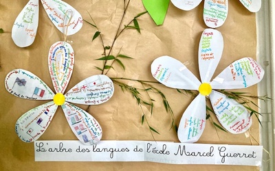 fleurs des langues