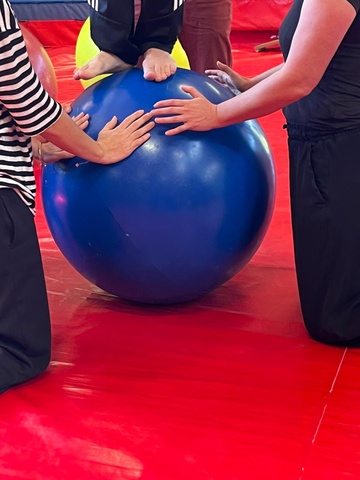 Stage cirque inter degrés