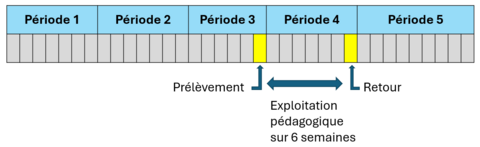 Durée mise à disposition