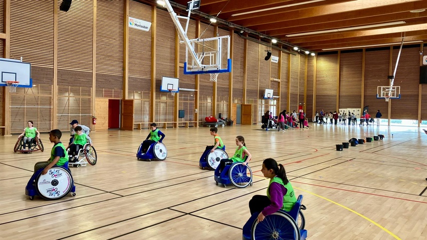 sop 26 basket fauteuil