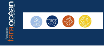 tara océan