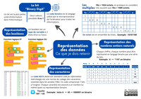 Représentation des données