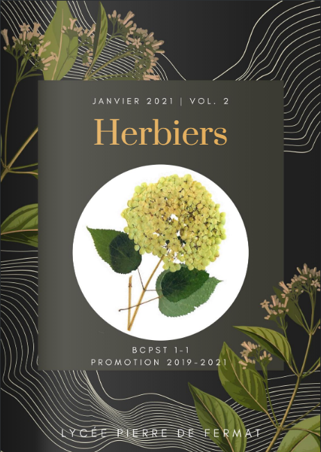 Herbier