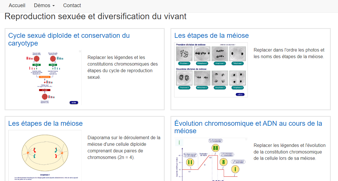 animations de F. Puech